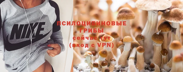 мяу мяу мука Карпинск